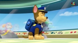 انیمیشن پاو پاترول قسمت بیست و نهم  PawPatrol S01E29